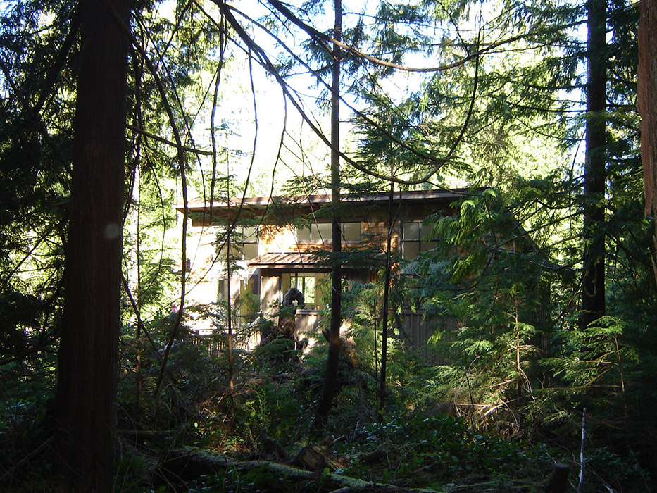 Guest Cabin